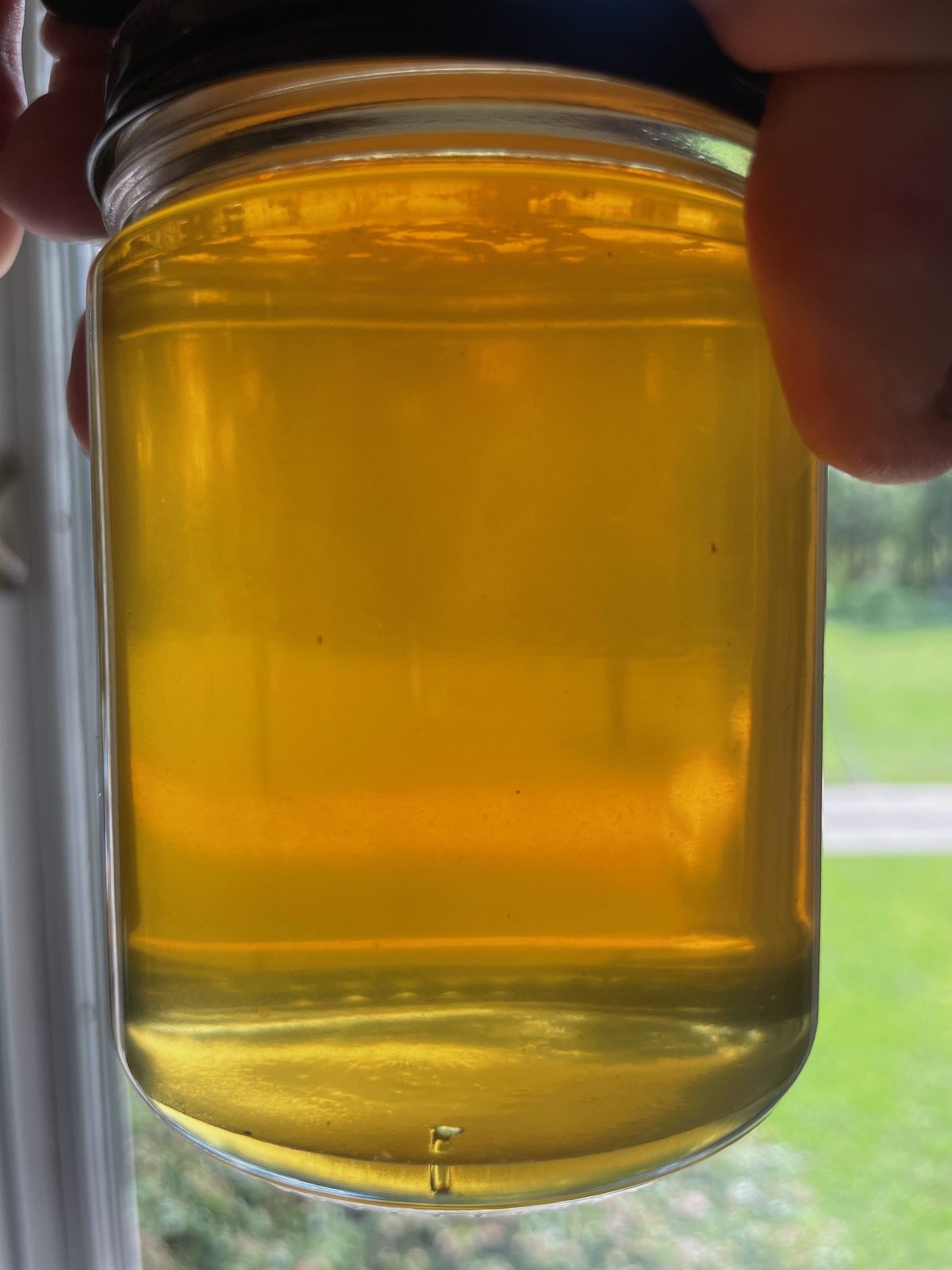 A jar of SOB Honey held up to the window, sunlight showing the clarity of the honey.