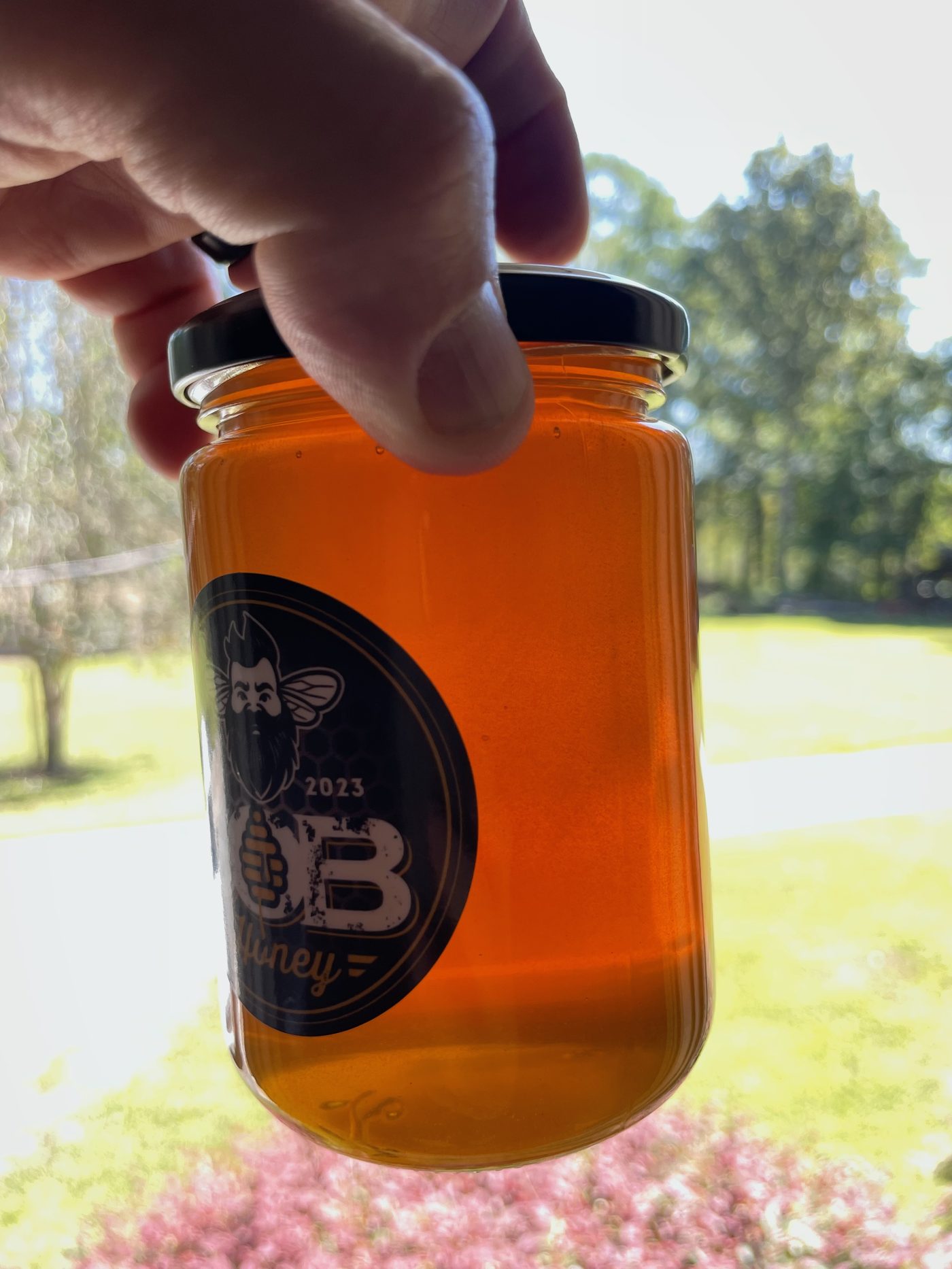 A jar of SOB Honey held up against the sunlight in the yard.